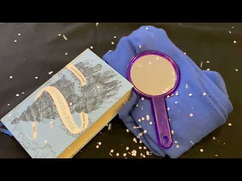 Buchtrailer "Die Verlobten des Winters"