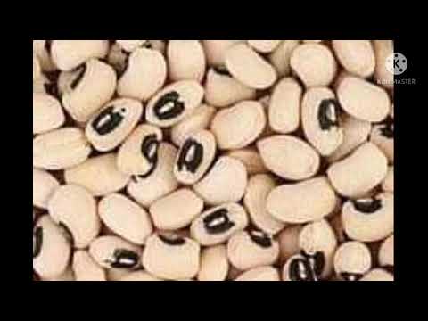 Sirrin dafai jalabi radi