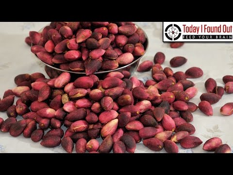 Why Do They Dye Pistachios Red Download Videos Mp3 And Mp4 Randu Music Why Do They Dye Pistachios Red Download Videos Mp3 And Mp4 Randu Music