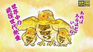 【テドリ編】現役世代のテドリが減っている!?【国民民主党 参院選2025CM】