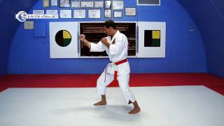 preview picture of video 'KARATE VIDEO: Karate Classes 03 | Fighting Stance'
