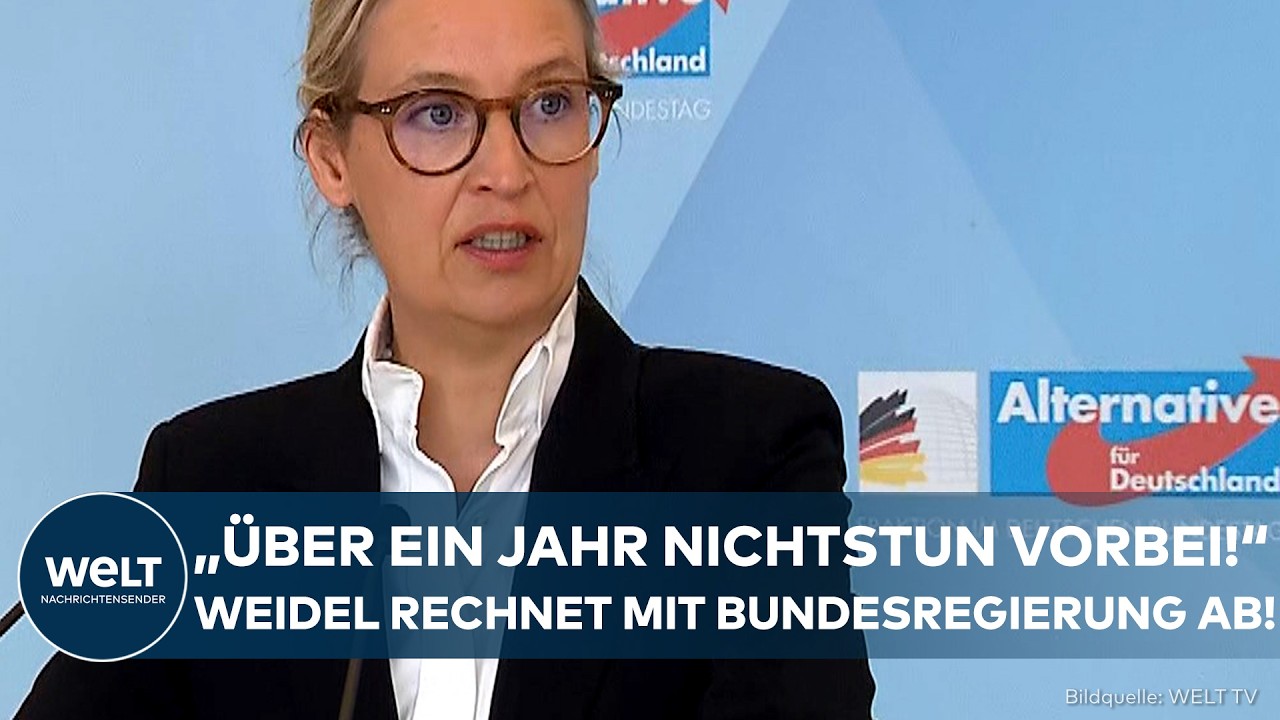 STATEMENT VON AFD-SPITZE: "Über ein Jahr Nichtstun vorbei!" Weidel rechnet mit Bundesregierung ab!