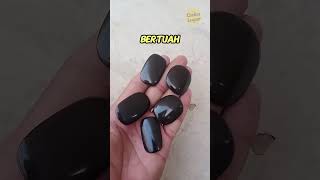 Download lagu Ular Ini Mengeluarkan Batu Hitam! mp3