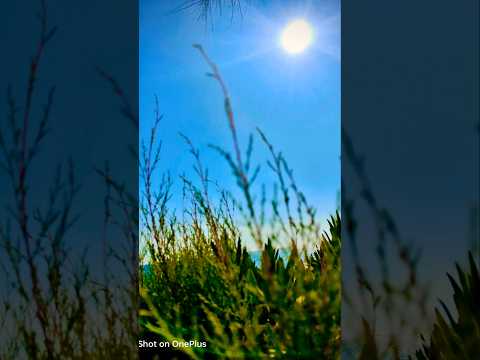 Enjoy everyone ❤️🇵🇹#foryou #travel #tanvir #viralvideo #youtubeshorts #viralshorts#viralreels #europ