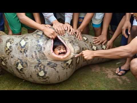 a SNAKE trapped him alive then..