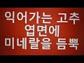 텃밭농부 348 익어가는 고추 엽면에 미네랄을 듬뿍 뿌려주는 방법.고추재배