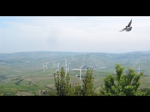 Buongiorno da Scampitella