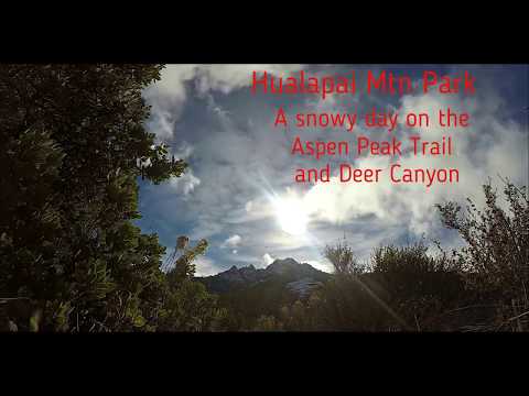 Hualapai Mountain Camera