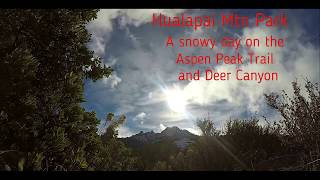 Hualapai Mtn Park