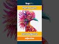 flamboyant - extravagante video thumbnail