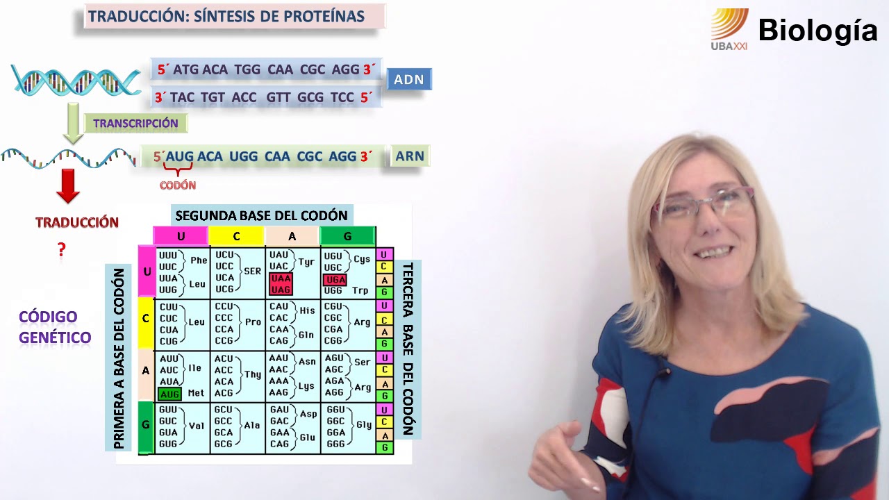 45.Traducción: Síntesis de proteínas