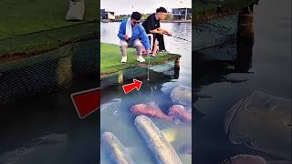 Download lagu Orang ini membuktikan, mancing ikan besar tidak perlu menggunakan umpan. #fish #fishing #shorts mp3