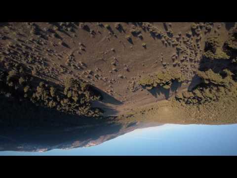 DYS X220 Lightning, 2017/03/11 Preview