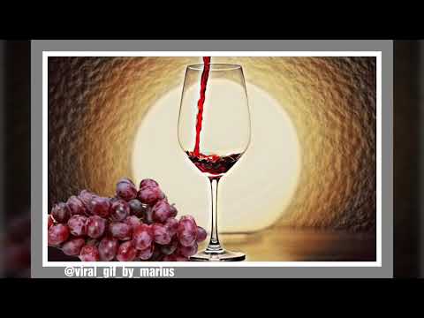 What could be Pinot Noir, Merlot, Cabernet Sauvignon, Shiraz, Syrah  ?