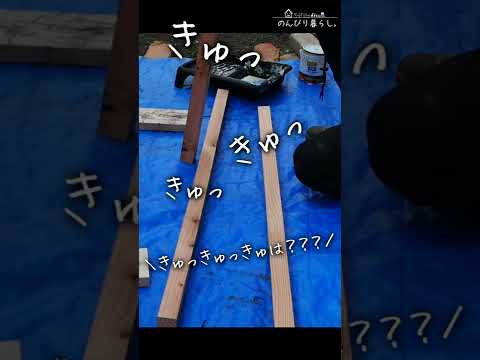 木製、PVC、または複合木材の庭のフェンス - どれを選択しますか?  庭園