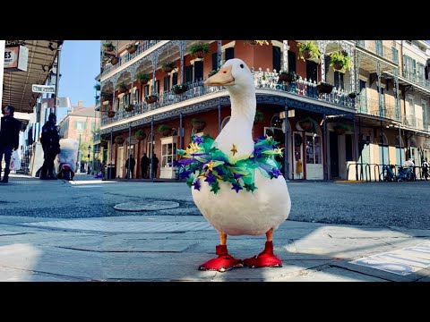 I took my duck to New Orleans