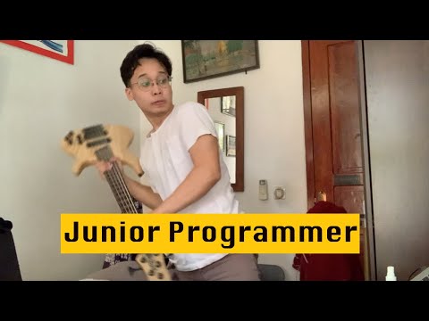 Senior Programmer VS Junior Programmer