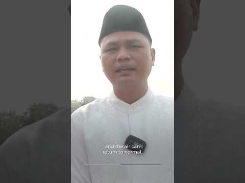 Indonesia wildfires send toxic haze across Southeast Asia | #AJ shorts