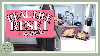 Real Life Reset: Meal Prep, Haul & Tidy Up (Chatty & Calm)
