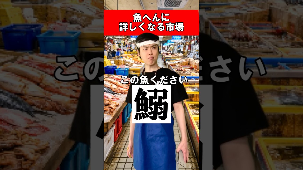 魚へんに詳しくなる市場 #魚 #漢字
