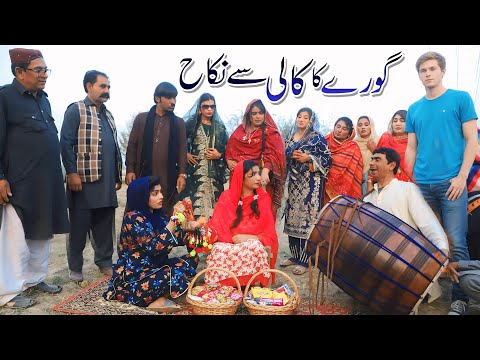 Dance | Ramzi,Noori, Bilo ,Bhootna,Shoki, Sanam, Falak Sher,Funny Video  Rachnavi Tv