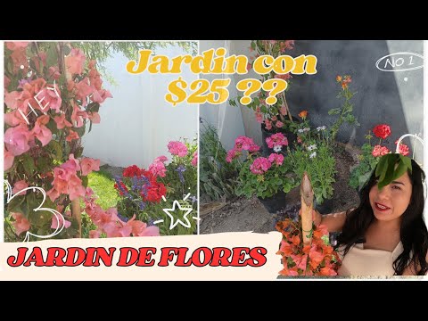 FILL THE FLOWER GARDEN: How I Created an Oasis for Under $500 (Melisa Zuejey)