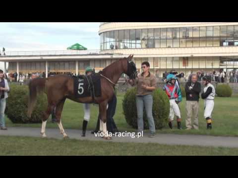 Gon. VIII - 29.09.2012 - Safar (Ganges - Salsa)