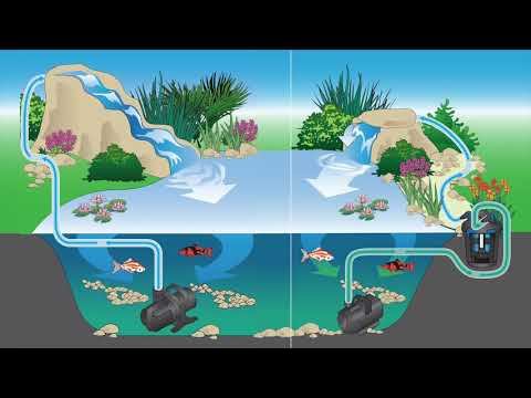 Waterfall Pump - What's in the Box?