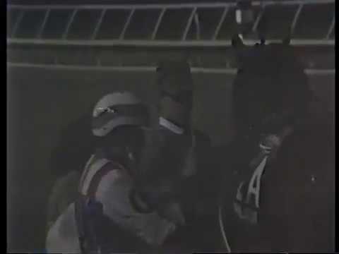 1985 Nihilator Breeders Crown 3 year old colt pace at Garden State Park