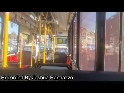 Transit Systems Sydney 2455 ST - Scania K280UB (ZF Ecomat)