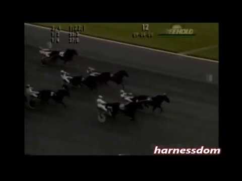 2000 Freehold Raceway POWERFUL TOY Luc Ouellette Cane Pace Track Record