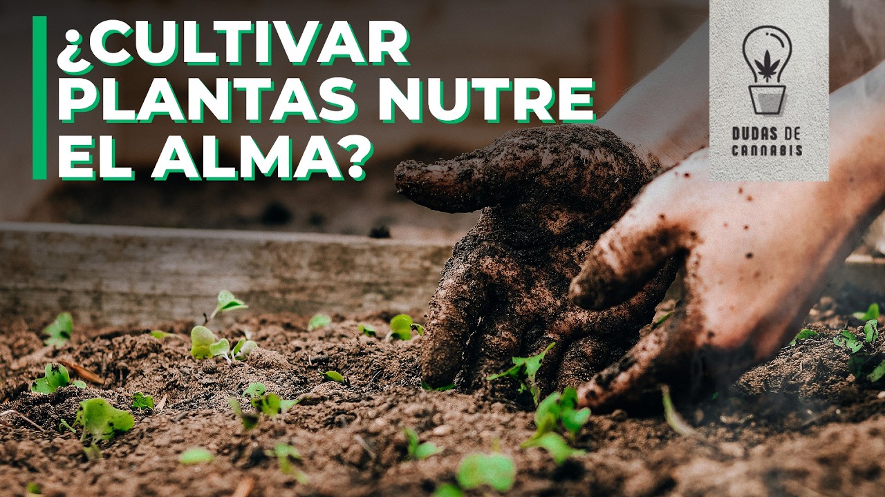 ORGÁNICO VS MINERAL: El fundador de BIOBIZZ rompe el mito