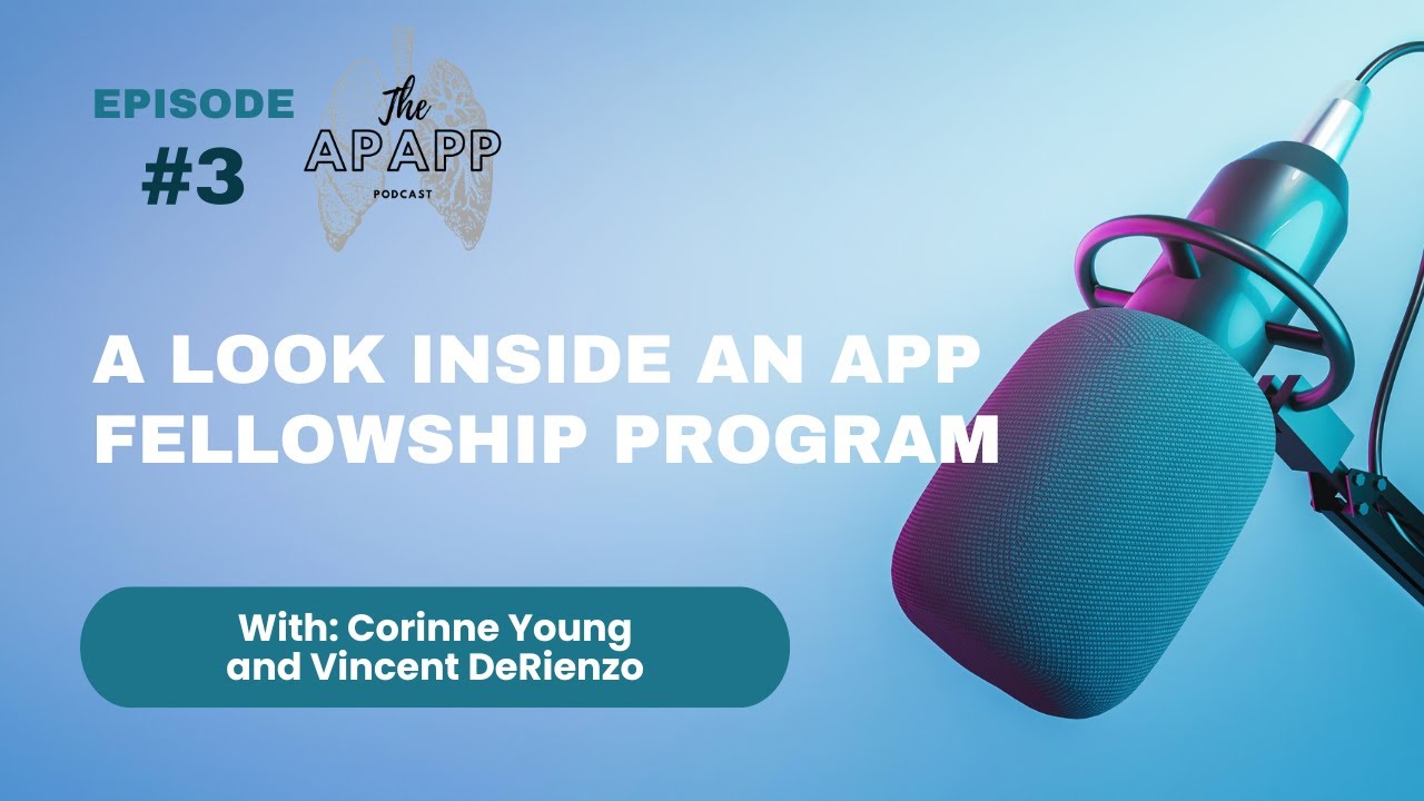 A Look Inside a APP Fellowship Program