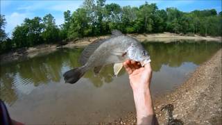 River Fishing #1,Freshwater Drum on Nightcrawlers