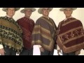 Los Huasos Quincheros - Los compadres paleteados