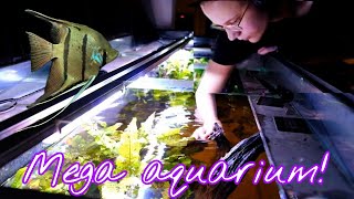 2 METER: 4 Jaar UPDATE! Hoe doe ik ONDERHOUD? //Nickey//