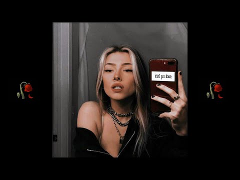 aymi x shuster - kwiat róży