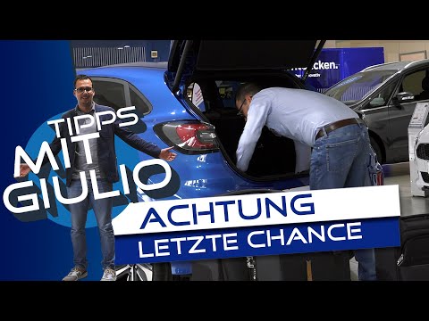 Platzangebot Puma | Kofferraumvolumen  | Ford Danner