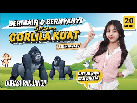 GORILA Belajar Bermain untuk Anak Balita Mengenal Gorila Lagu untuk Balita Meningkatkan Fokus Anak