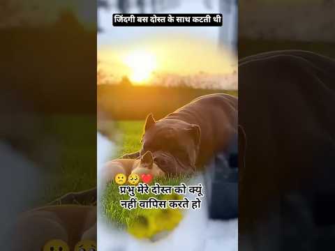 प्रभु मेरे दोस्त को प्लीज वापिस करदो 🥺🙁❤️