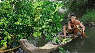 survival in the rainforest Rich fruits at up the hill - He ate sick fruit, apparently delicious