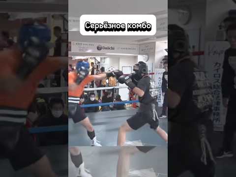 Жесткое комбо #бокс #ардашев #boxing