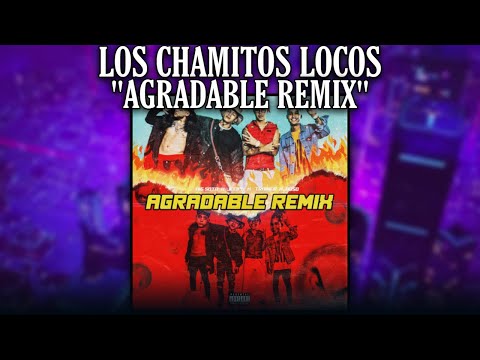 Puerto Ricans react to "Agradable Remix" by Adso x Jeiph x Big Soto x Trainer