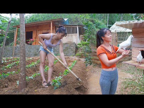 200 Days to Build a Log Cabin. /Create a Clean Farm,...Raise Livestock, Grow Vegetable