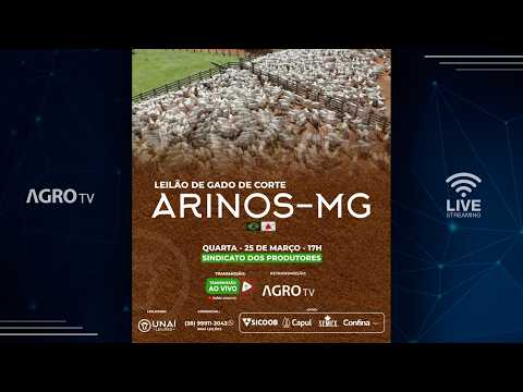 UNAÍ LEILÕES - ARINOS MG - 25/03/2026