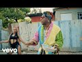 Elephant Man - The Prettiness Fi Me (Official Video)