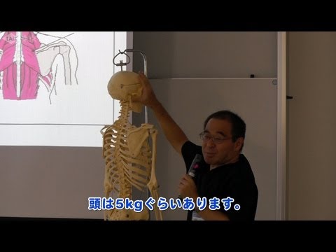 肩、首、背中の筋肉は重い頭や腕を支えている