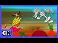 New Looney Tunes | Worteldief | Cartoon Network