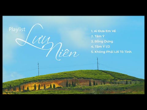 Playlist. Lưu Niên