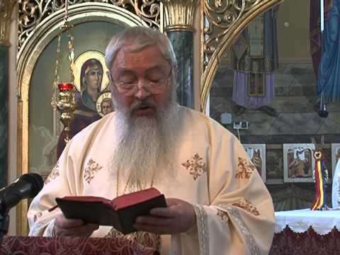 Predica IPS Andrei 9 februarie 2014   DEJ I